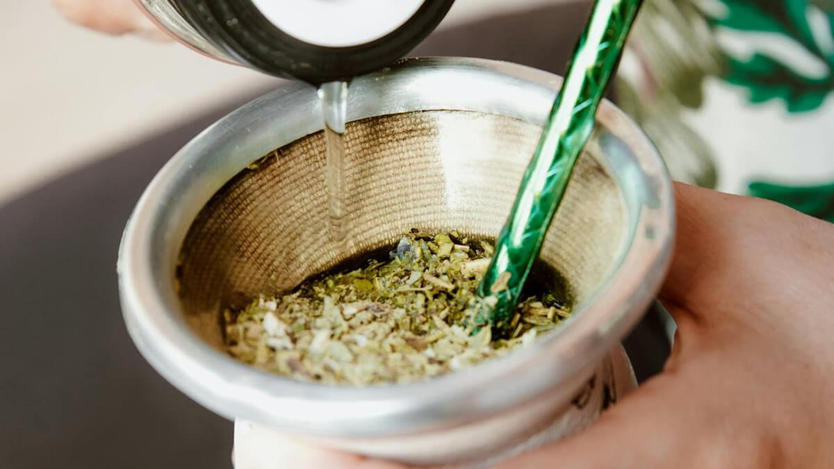 Chimarrão vs. Tereré: Descubra as Diferenças Entre as Ervas