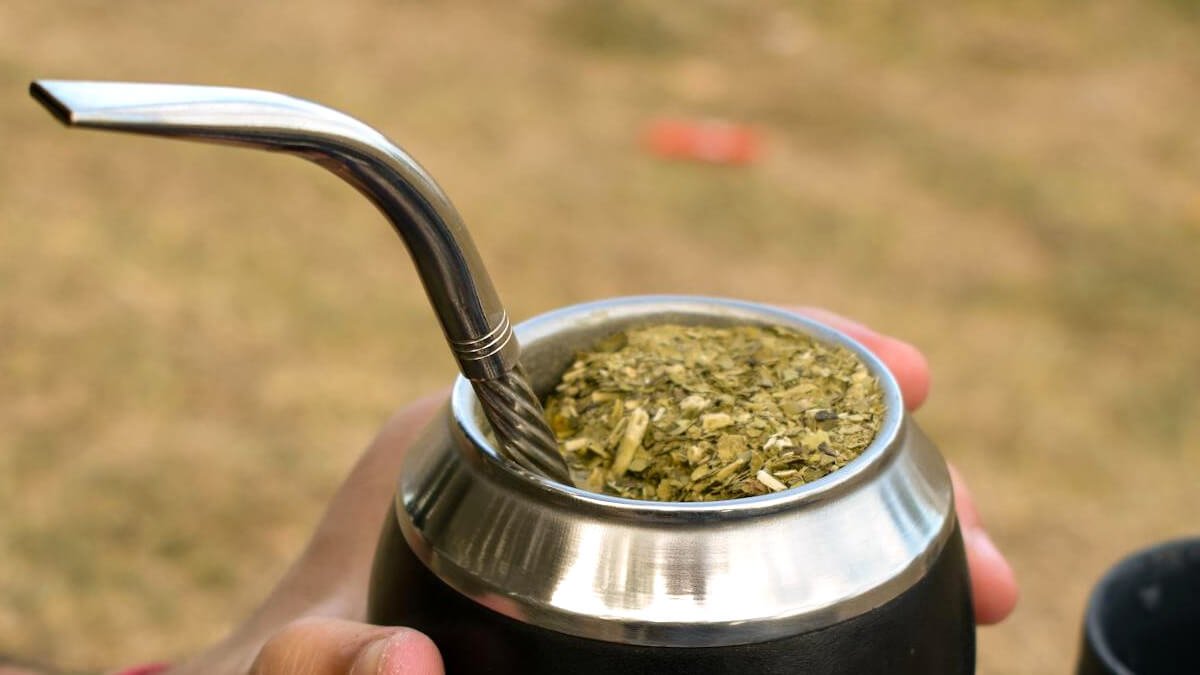 Chimarrão Acelera o Metabolismo? Benefícios e Estudos